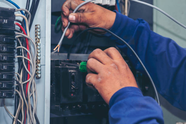 Best Affordable Electrician  in Storm Lake, IA